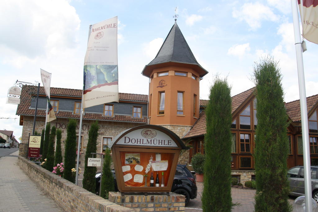 Dohlmuehle Hotel & Weingut Flonheim Buitenkant foto