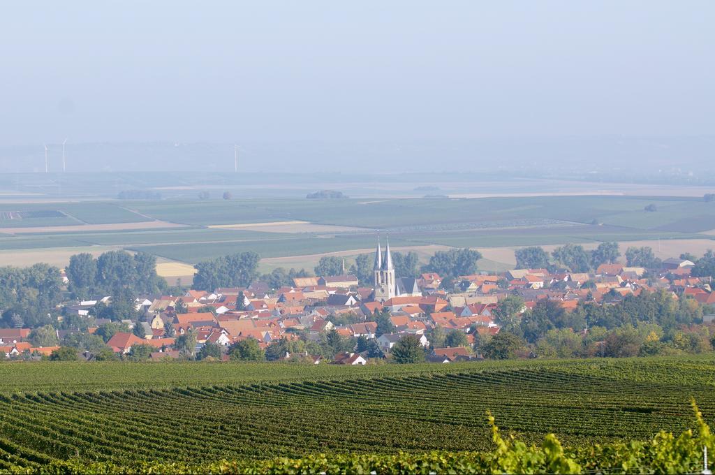 Dohlmuehle Hotel & Weingut Flonheim Buitenkant foto