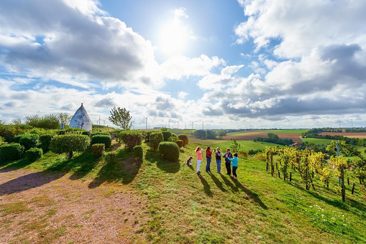 Dohlmuehle Hotel & Weingut Flonheim Buitenkant foto