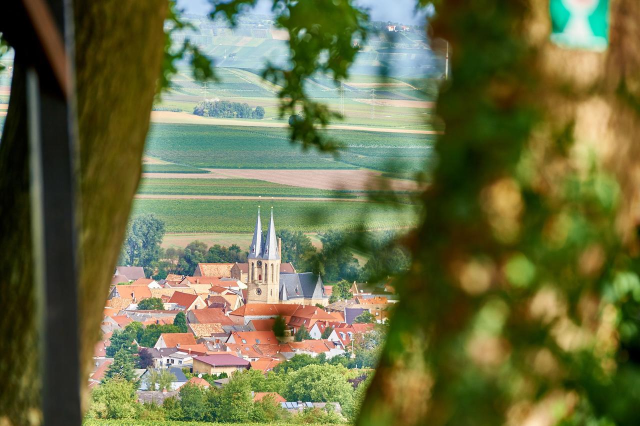 Dohlmuehle Hotel & Weingut Flonheim Buitenkant foto