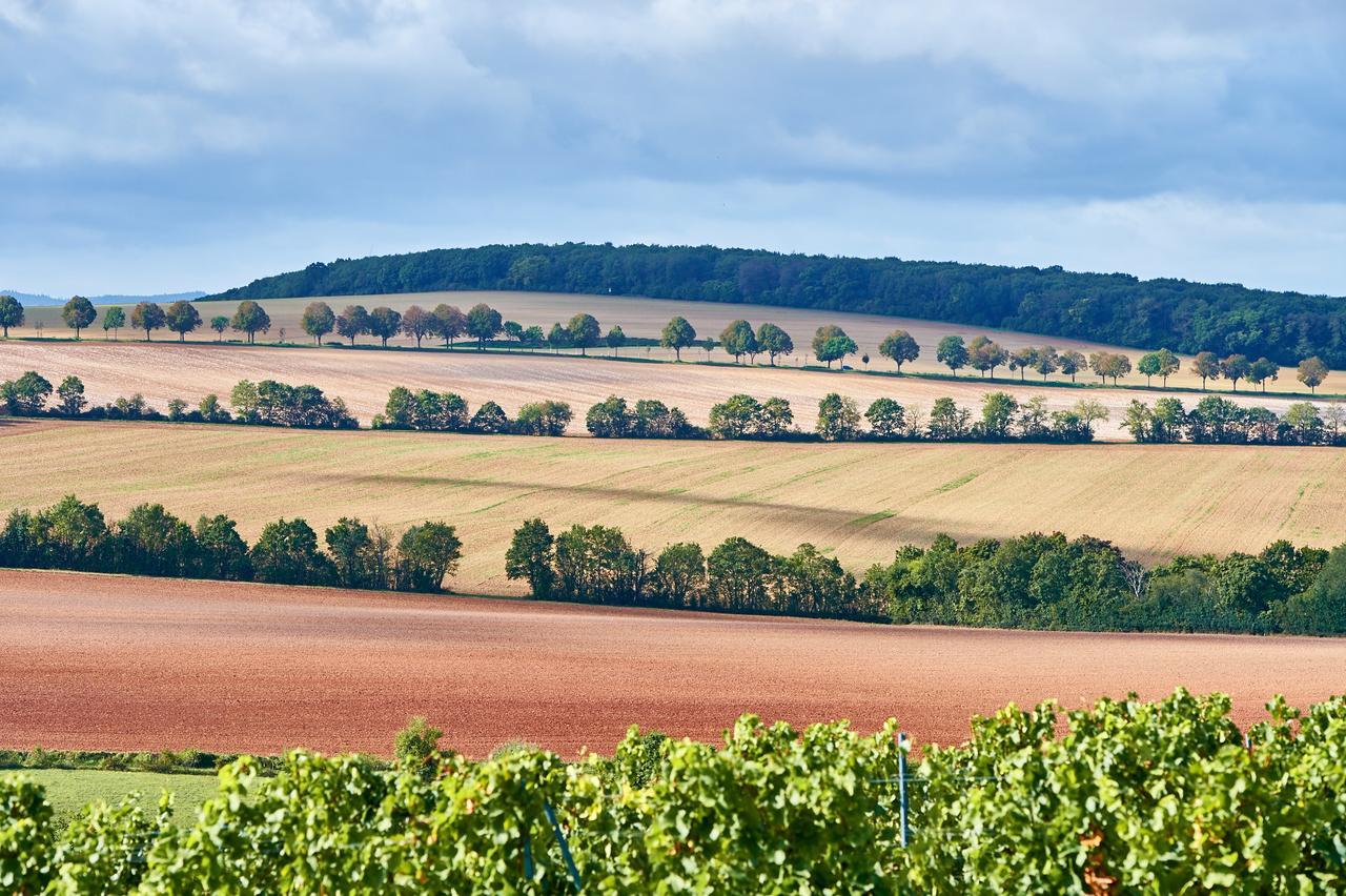 Dohlmuehle Hotel & Weingut Flonheim Buitenkant foto