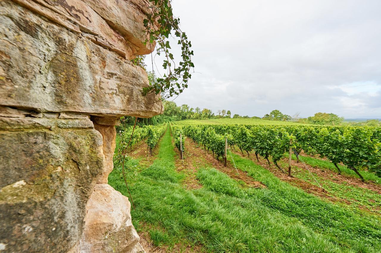 Dohlmuehle Hotel & Weingut Flonheim Buitenkant foto